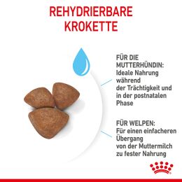 ROYAL CANIN Kleine Hunde Trockenfutter Mini Starter f&uuml;r tragende H&uuml;ndin und Welpen ab der 3. - 8. Woche 4 Kg