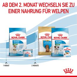 ROYAL CANIN Kleine Hunde Trockenfutter Mini Starter f&uuml;r tragende H&uuml;ndin und Welpen ab der 3. - 8. Woche 4 Kg