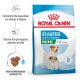 ROYAL CANIN Kleine Hunde Trockenfutter Mini Starter für tragende Hündin und Welpen ab der 3. - 8. Woche 4 Kg
