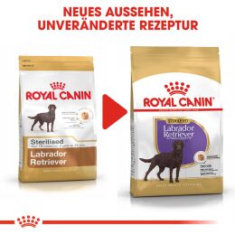 ROYAL CANIN Labrador Retriever Trockenfutter Adult f&uuml;r kastrierte Hunde 12 Kg