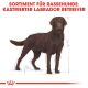 ROYAL CANIN Labrador Retriever Trockenfutter Adult für kastrierte Hunde 12 Kg