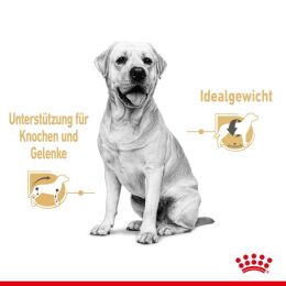 ROYAL CANIN Labrador Retriever Nassfutter Adult St&uuml;ckchen in So&szlig;e 10x140 g