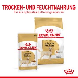 ROYAL CANIN Labrador Retriever Nassfutter Adult St&uuml;ckchen in So&szlig;e 10x140 g