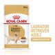 ROYAL CANIN Labrador Retriever Nassfutter Adult Stückchen in Soße 10x140 g