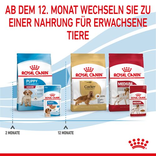ROYAL CANIN Mittelgroe Hunde Nassfutter Welpen bis zum 12. Monat 10x,  18,90