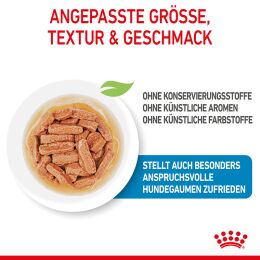 ROYAL CANIN Mittelgro&szlig;e Hunde Nassfutter Welpen bis zum 12. Monat 10x140 g