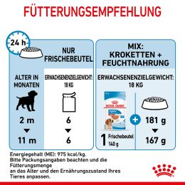 ROYAL CANIN Mittelgro&szlig;e Hunde Nassfutter Welpen bis zum 12. Monat 10x140 g