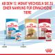 ROYAL CANIN Mittelgroße Hunde Nassfutter Welpen bis zum 12. Monat 10x140 g