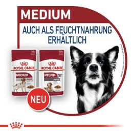 ROYAL CANIN Mittelgro&szlig;e Hunde Nassfutter Medium Adult 10x140 g