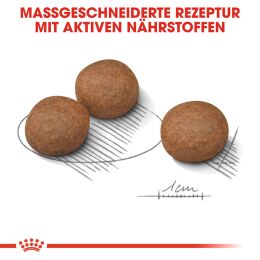 ROYAL CANIN Mittelgro&szlig;e Hunde Trockenfutter Digestive Care Medium f&uuml;r empfindliche Verdauung