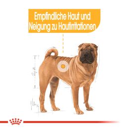 ROYAL CANIN Mittelgro&szlig;e Hunde Trockenfutter Dermacomfort Medium f&uuml;r empfindliche Haut