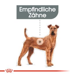 ROYAL CANIN Mittelgro&szlig;e Hunde Trockenfutter Dental Care Medium f&uuml;r empfindliche Z&auml;hne 10 Kg