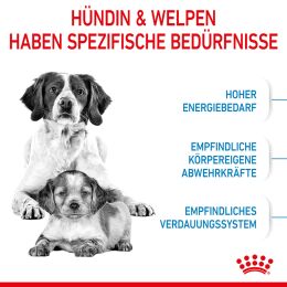 ROYAL CANIN Mittelgro&szlig;e Hunde Trockenfutter Medium Starter f&uuml;r tragende H&uuml;ndin und Welpen 15 Kg