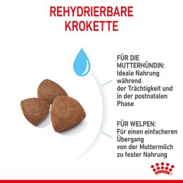 ROYAL CANIN Mittelgro&szlig;e Hunde Trockenfutter Medium Starter f&uuml;r tragende H&uuml;ndin und Welpen 15 Kg