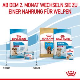 ROYAL CANIN Mittelgro&szlig;e Hunde Trockenfutter Medium Starter f&uuml;r tragende H&uuml;ndin und Welpen 15 Kg