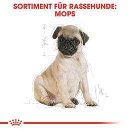 ROYAL CANIN Mops Trockenfutter Welpen 1,5 Kg