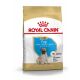 ROYAL CANIN Mops Trockenfutter Welpen 1,5 Kg