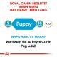 ROYAL CANIN Mops Trockenfutter Welpen 1,5 Kg