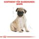 ROYAL CANIN Mops Trockenfutter Welpen 1,5 Kg