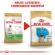 ROYAL CANIN Mops Trockenfutter Welpen 1,5 Kg