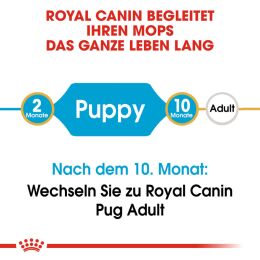 ROYAL CANIN Mops Trockenfutter Adult 3 Kg