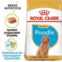 ROYAL CANIN Pudel Trockenfutter Welpen 3 Kg