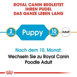 ROYAL CANIN Pudel Trockenfutter Welpen 3 Kg