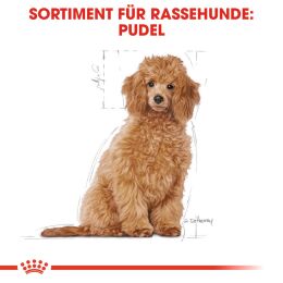 ROYAL CANIN Pudel Trockenfutter Welpen 3 Kg