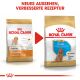 ROYAL CANIN Pudel Trockenfutter Welpen 3 Kg