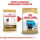 ROYAL CANIN Rottweiler Trockenfutter Welpen 12 Kg