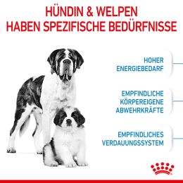 ROYAL CANIN Sehr Gro&szlig;e Hunde Trockenfutter Starter Giant tragende H&uuml;ndin und Welpen 15 Kg