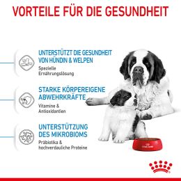 ROYAL CANIN Sehr Gro&szlig;e Hunde Trockenfutter Starter Giant tragende H&uuml;ndin und Welpen 15 Kg