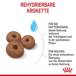 ROYAL CANIN Sehr Gro&szlig;e Hunde Trockenfutter Starter Giant tragende H&uuml;ndin und Welpen 15 Kg