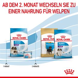 ROYAL CANIN Sehr Gro&szlig;e Hunde Trockenfutter Starter Giant tragende H&uuml;ndin und Welpen 15 Kg