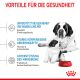 ROYAL CANIN Sehr Große Hunde Trockenfutter Starter Giant tragende Hündin und Welpen 15 Kg