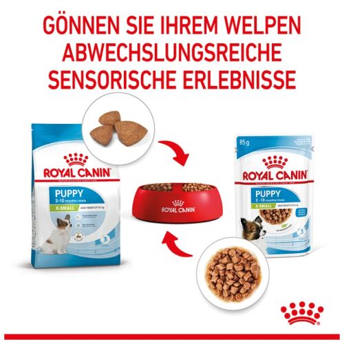 hundespielzeug quietschend Hundespielzeug Sneaky Schlange  befllbar & quietschend  Dein Fellnasen  Shop