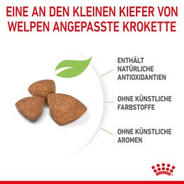 ROYAL CANIN Sehr Kleine Hunde Trockenfutter X-Small Welpen