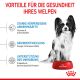 ROYAL CANIN Sehr Kleine Hunde Trockenfutter X-Small Welpen