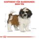 ROYAL CANIN Shih Tzu Trockenfutter Welpen 1,5 Kg