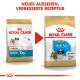 ROYAL CANIN Shih Tzu Trockenfutter Welpen 1,5 Kg