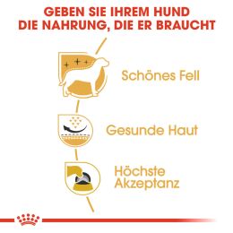 ROYAL CANIN West Highland White Terrier Trockenfutter Adult 3 Kg