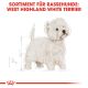 ROYAL CANIN West Highland White Terrier Trockenfutter Adult 3 Kg