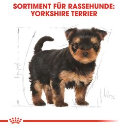 ROYAL CANIN Yorkshire Terrier Trockenfutter Welpen 1,5 Kg