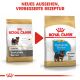 ROYAL CANIN Yorkshire Terrier Trockenfutter Welpen 1,5 Kg