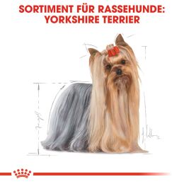 ROYAL CANIN Yorkshire Terrier Nassfutter Adult 12x85 g