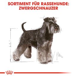 ROYAL CANIN Zwergschnauzer Trockenfutter Adult 3 Kg