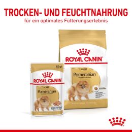 ROYAL CANIN Zwergspitze Nassfutter Mousse 12x85 g