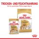 ROYAL CANIN Zwergspitze Nassfutter Mousse 12x85 g