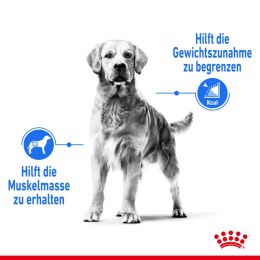 ROYAL CANIN Trockenfutter Light Weight Care Maxi f&uuml;r zu &Uuml;bergewicht neigenden Hunden 3 Kg