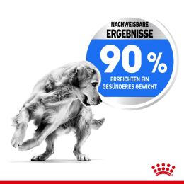 ROYAL CANIN Trockenfutter Light Weight Care Maxi f&uuml;r zu &Uuml;bergewicht neigenden Hunden 3 Kg